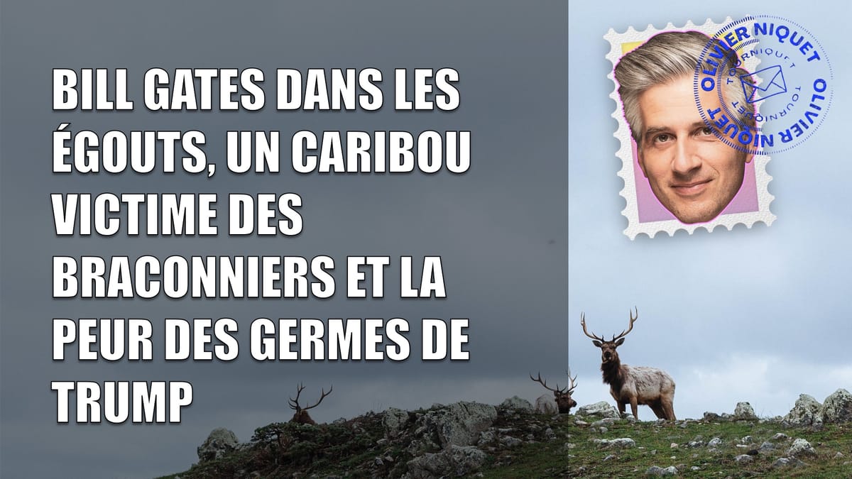 Bill Gates dans les égouts, un caribou victime des braconniers et la peur des germes de Trump Post feature image