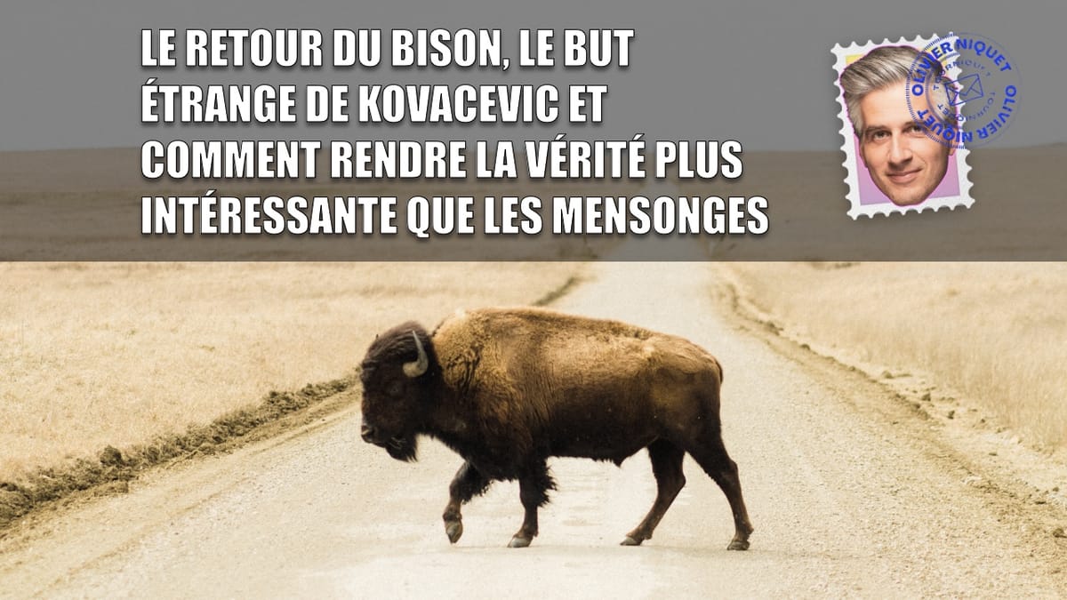 Le retour du bison, le but étrange de Kovacevic et comment rendre la vérité plus intéressante que les mensonges Post feature image