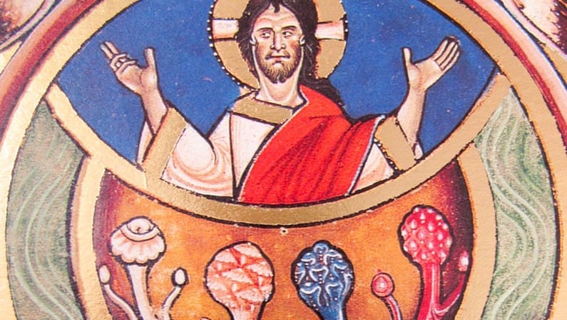 Des trolls en chair et en os, Éric Duhaime et les infirmières, et les champignons magiques Post feature image