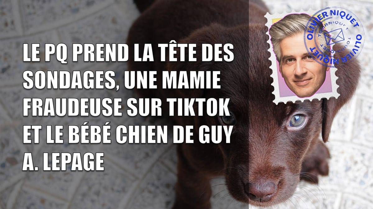 Le PQ prend la tête des sondages, une mamie fraudeuse sur TikTok et le bébé chien de Guy A. Lepage Post feature image