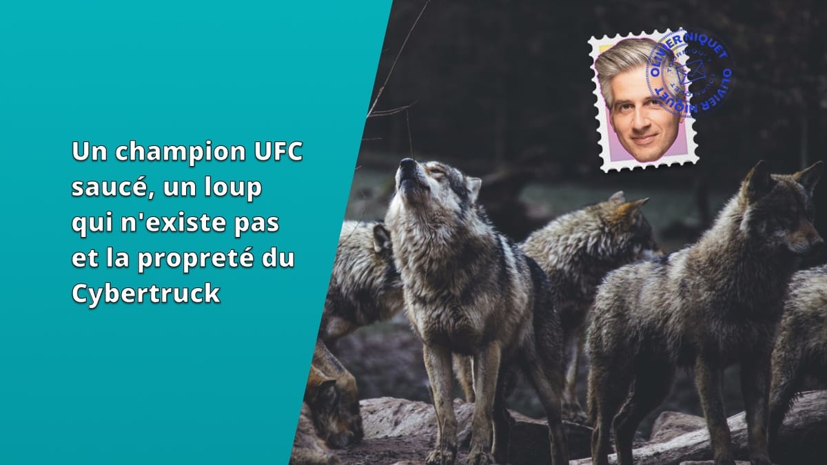 Un champion UFC saucé, un loup qui n'existe pas et la propreté du Cybertruck Post feature image