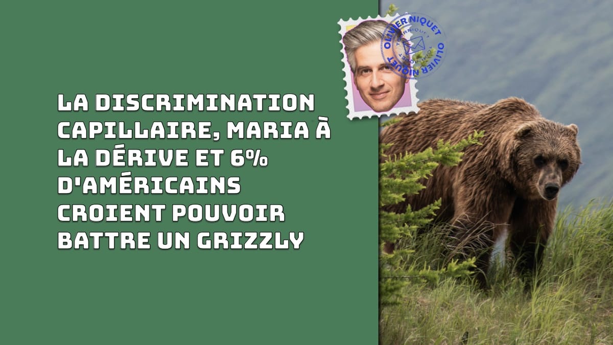 La discrimination capillaire, Maria à la dérive et 6% d'américains croient pouvoir battre un grizzly Post feature image