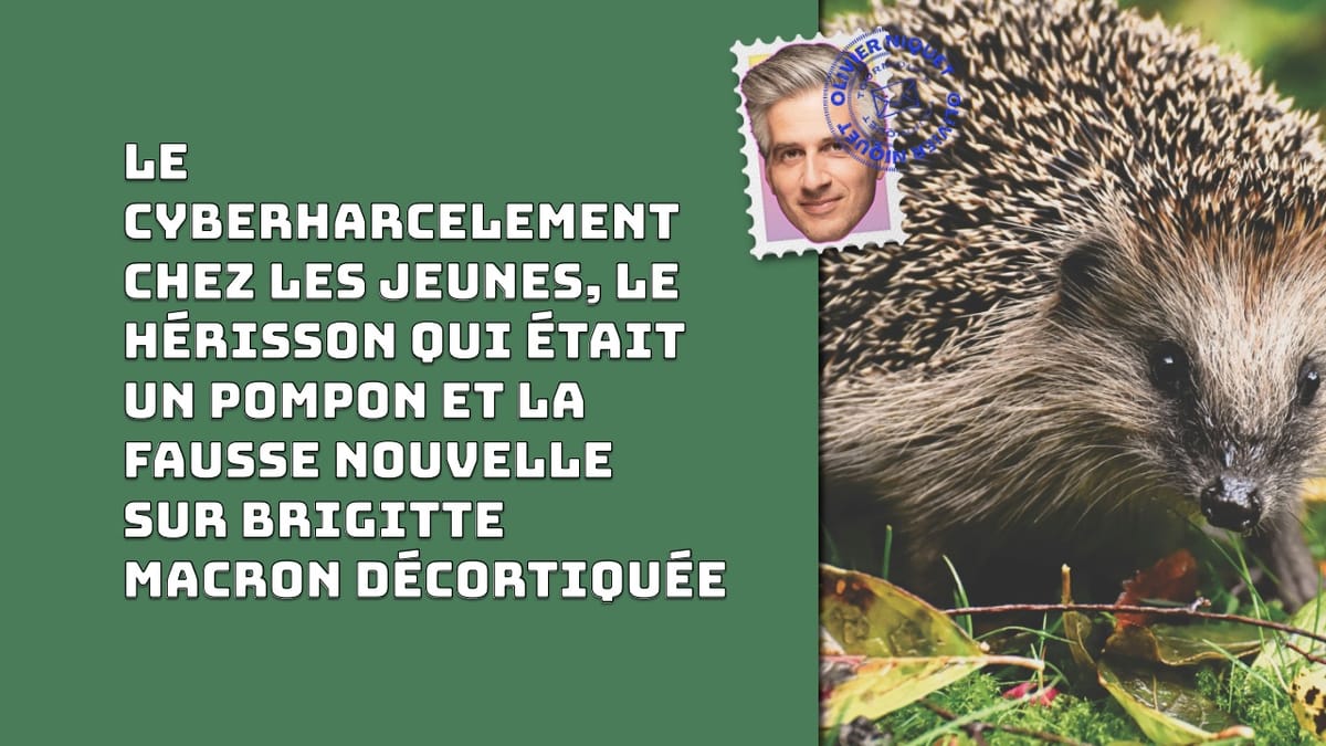 Le cyberharcelement chez les jeunes, le hérisson qui était un pompon et la fausse nouvelle sur Brigitte Macron décortiquée Post feature image