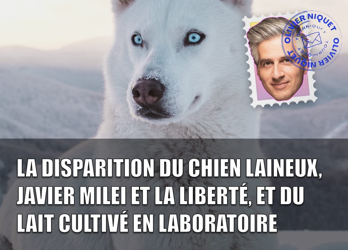 La disparition du chien laineux, Javier Milei et la liberté, et du lait cultivé en laboratoire Post feature image