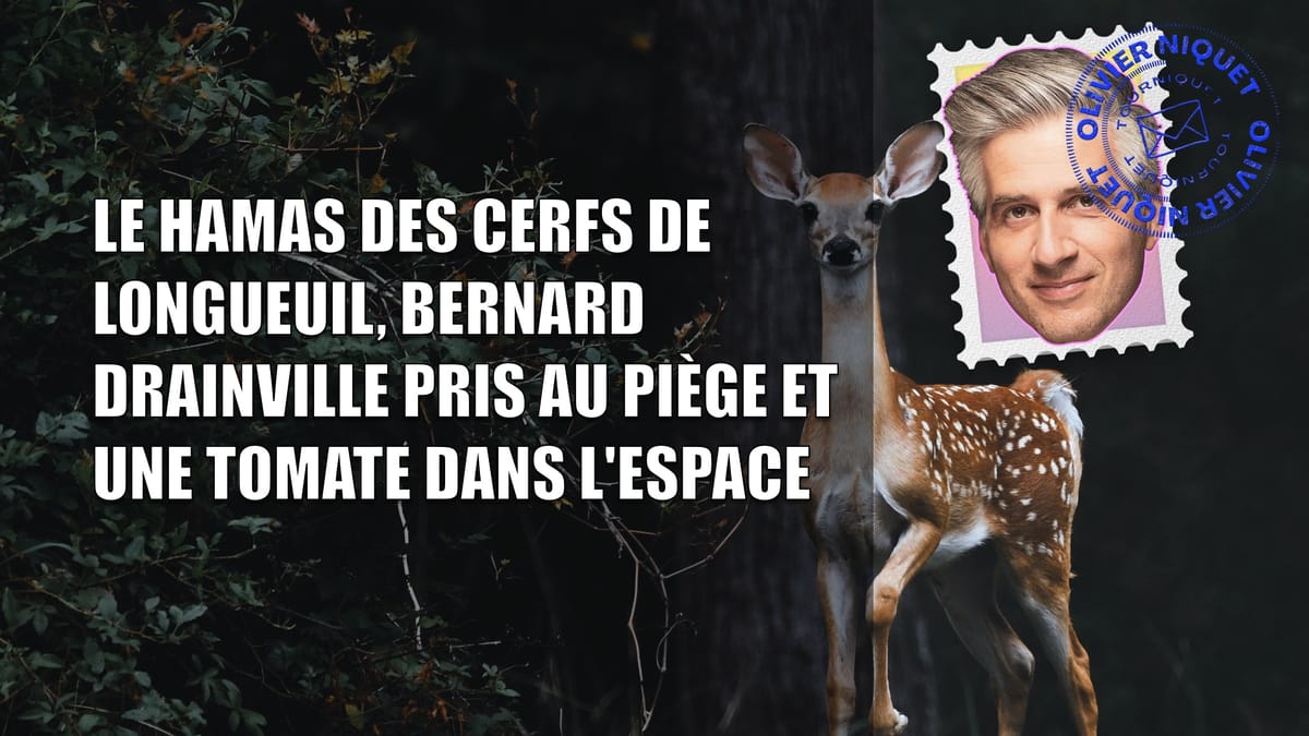 Le Hamas des cerfs de Longueuil, Bernard Drainville pris au piège et une tomate dans l'espace Post feature image