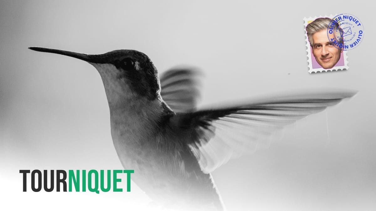 Le syndrome du colibri et le recul de nos démocraties Post feature image