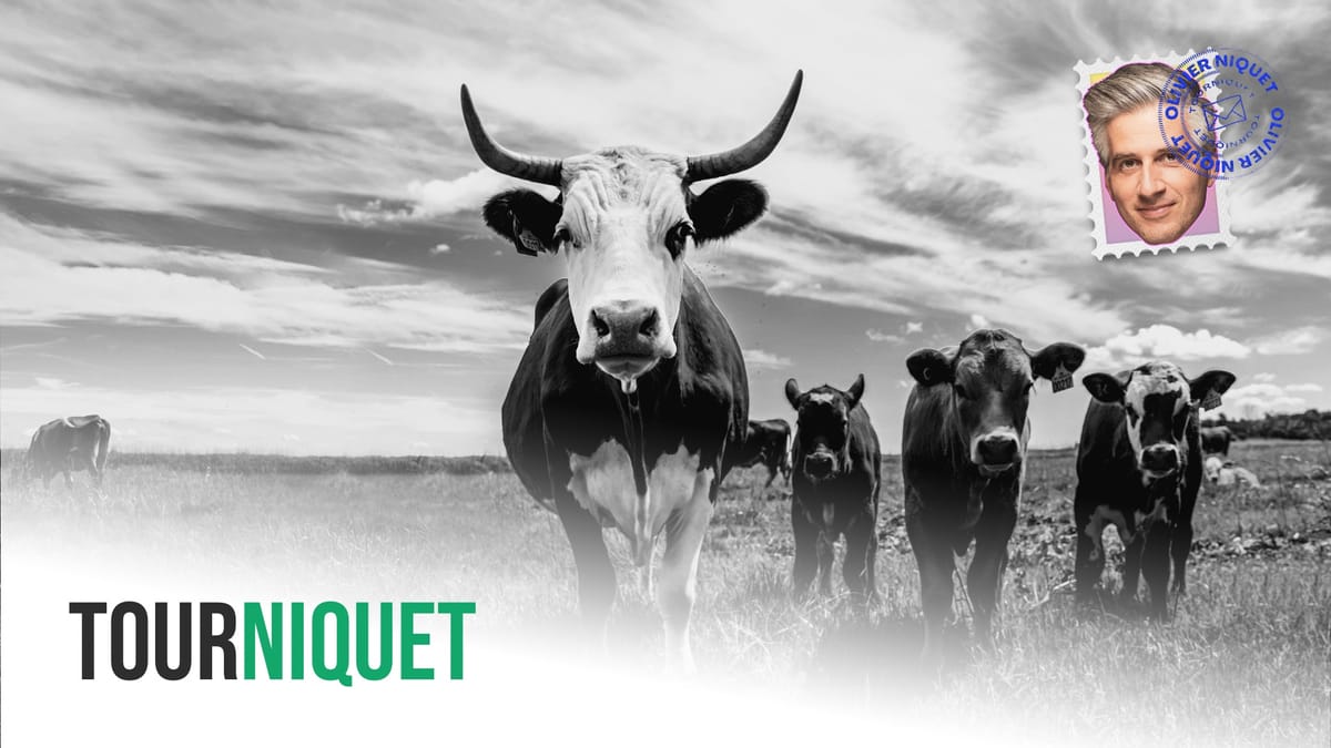 Danemark: une taxe sur les pets de vaches Post feature image