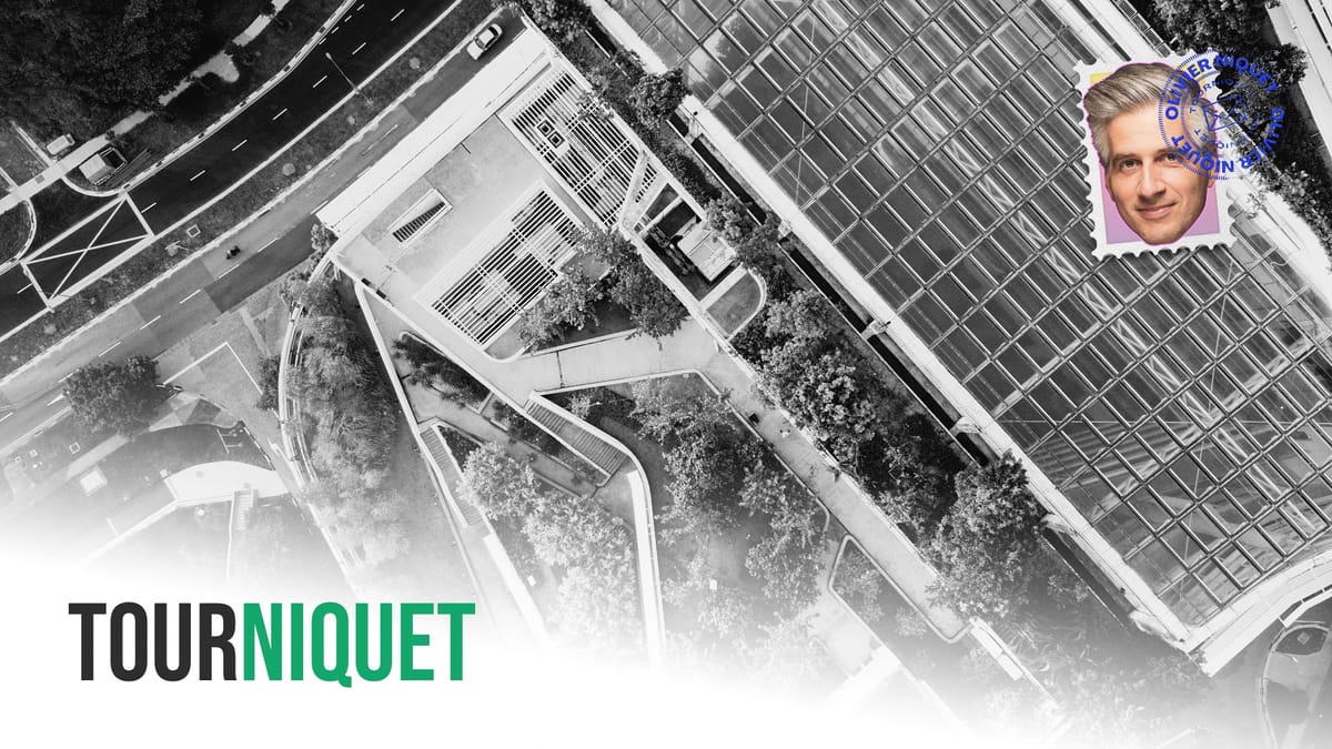 Pourquoi la verdure disparait-elle des grands projets? Post feature image