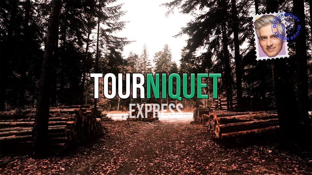 Carte blanche à l’industrie forestière dans nos forêts Post feature image