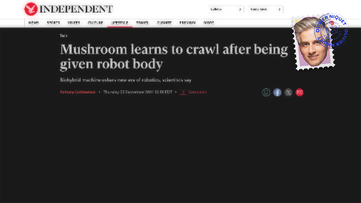 Un robot contrôlé par un champignon Post feature image