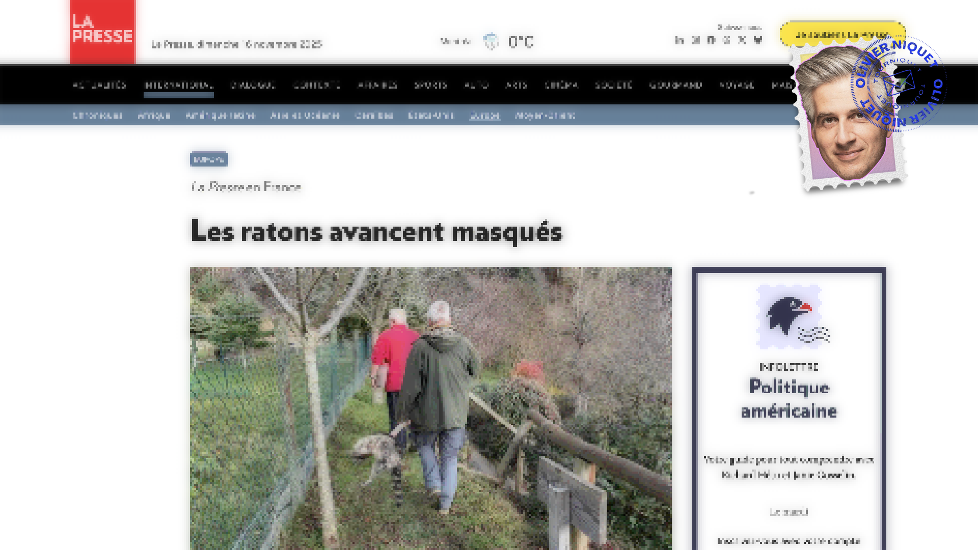 Les ratons laveurs envahissent la France, du coup Post feature image