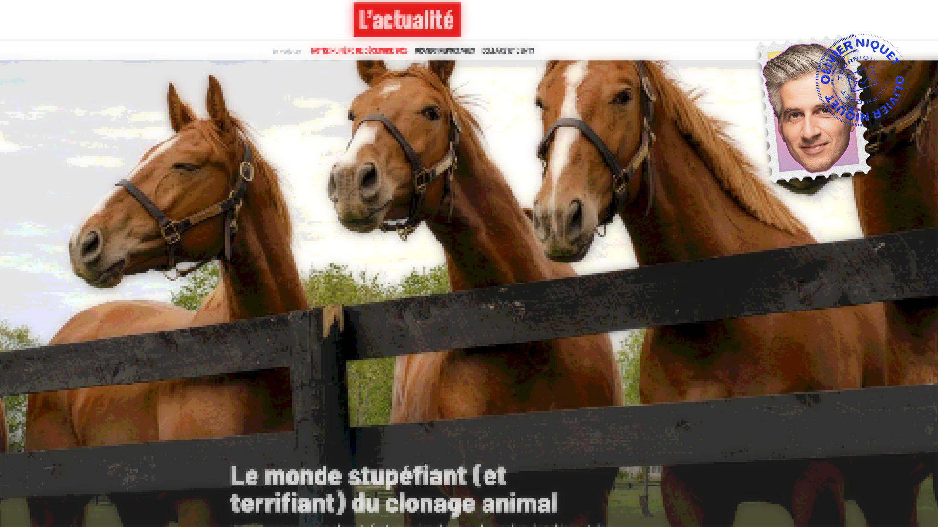 Clonage animal: à quand les humains? Post feature image