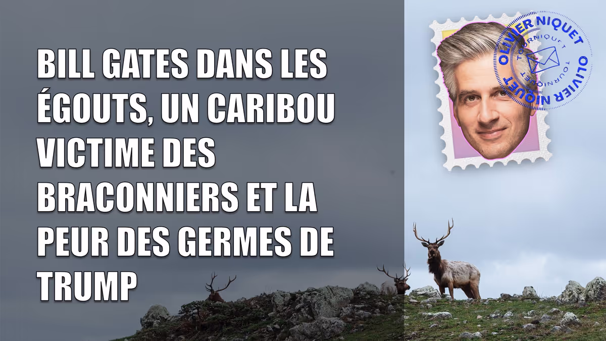 Bill Gates dans les égouts, un caribou victime des braconniers et la peur des germes de Trump Image principale