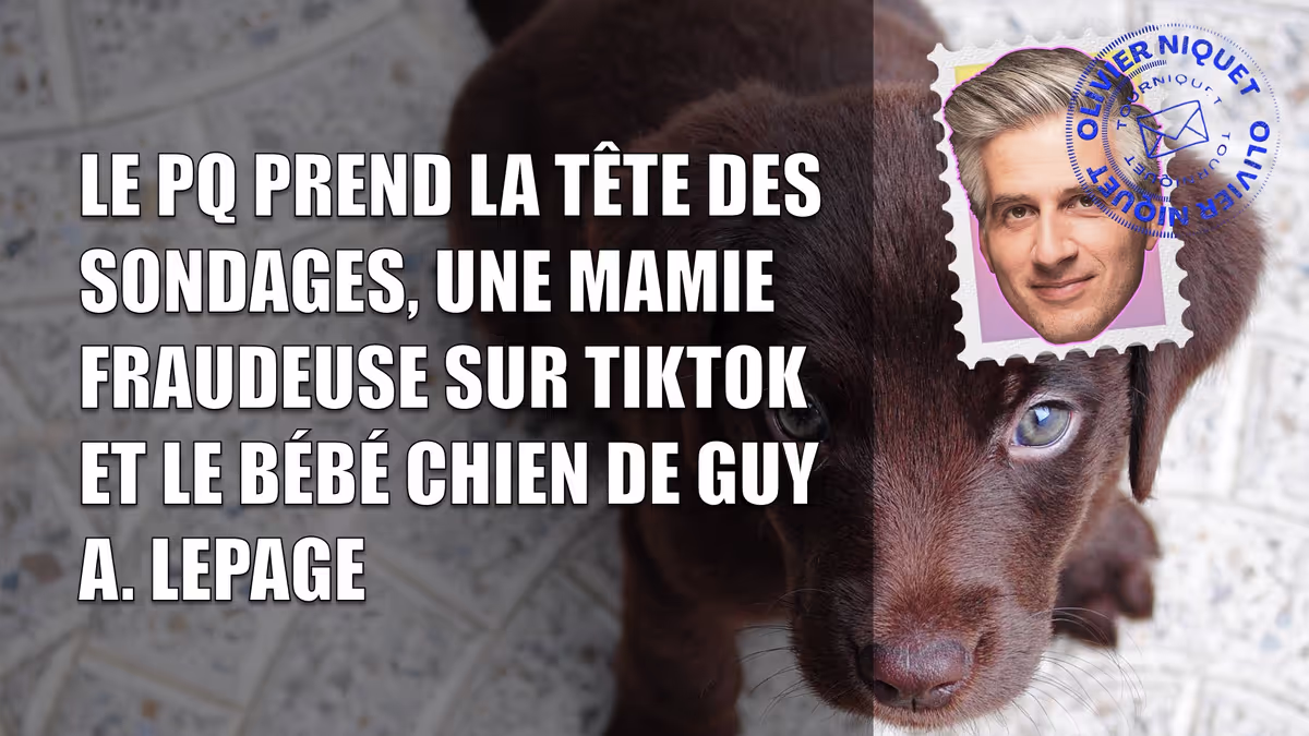 Le PQ prend la tête des sondages, une mamie fraudeuse sur TikTok et le bébé chien de Guy A. Lepage Image principale