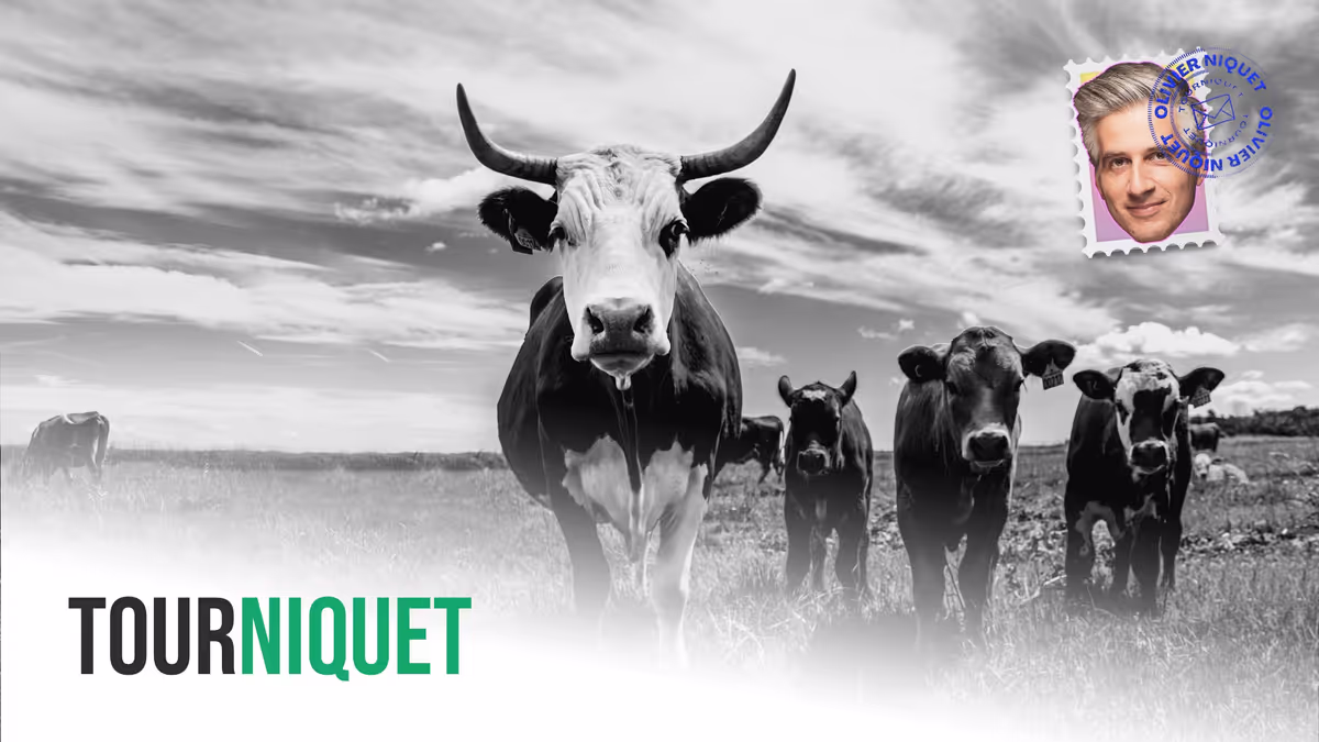 Danemark: une taxe sur les pets de vaches Image principale