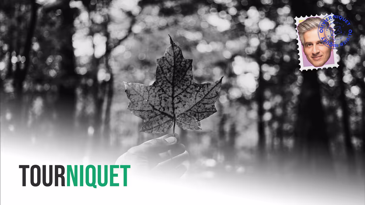 Les conservateurs vantent le Canada avec des images de la Californie et de l’Ukraine Image principale