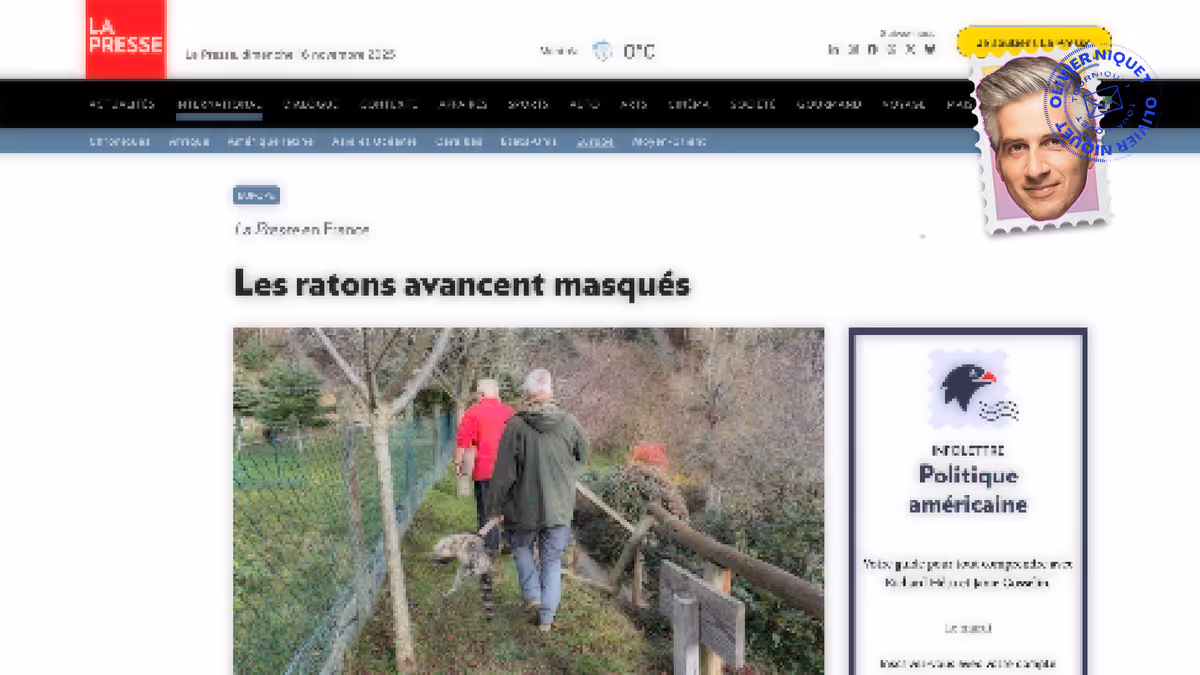 Les ratons laveurs envahissent la France, du coup Image principale