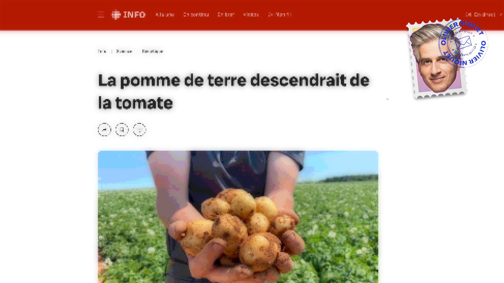 La pomme de terre est une tomate de terre Post feature image