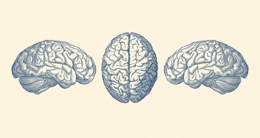 L'irrationnel, les arnaqueurs et l'introverti Post image