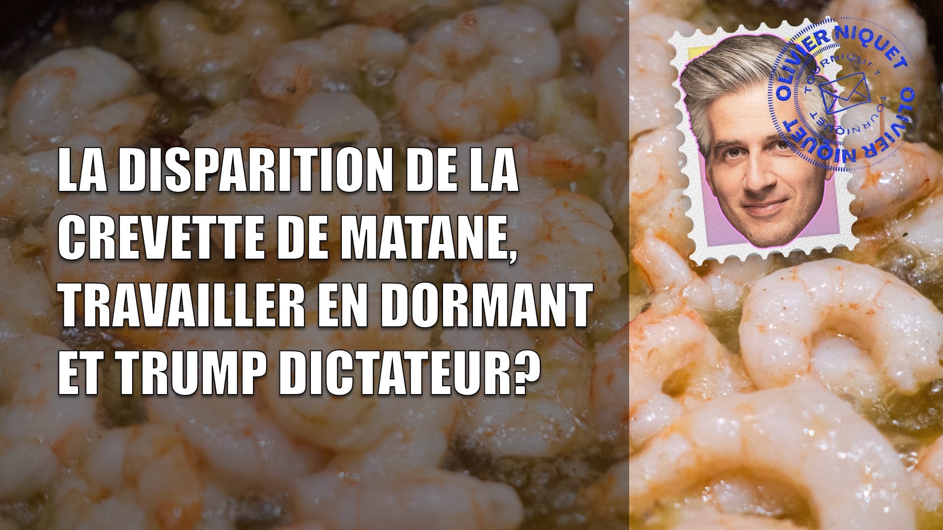 La disparition de la crevette de Matane, travailler en dormant et Trump dictateur? Post image