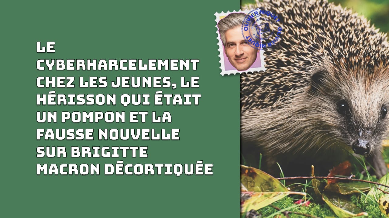 Le cyberharcelement chez les jeunes, le hérisson qui était un pompon et la fausse nouvelle sur Brigitte Macron décortiquée Post image