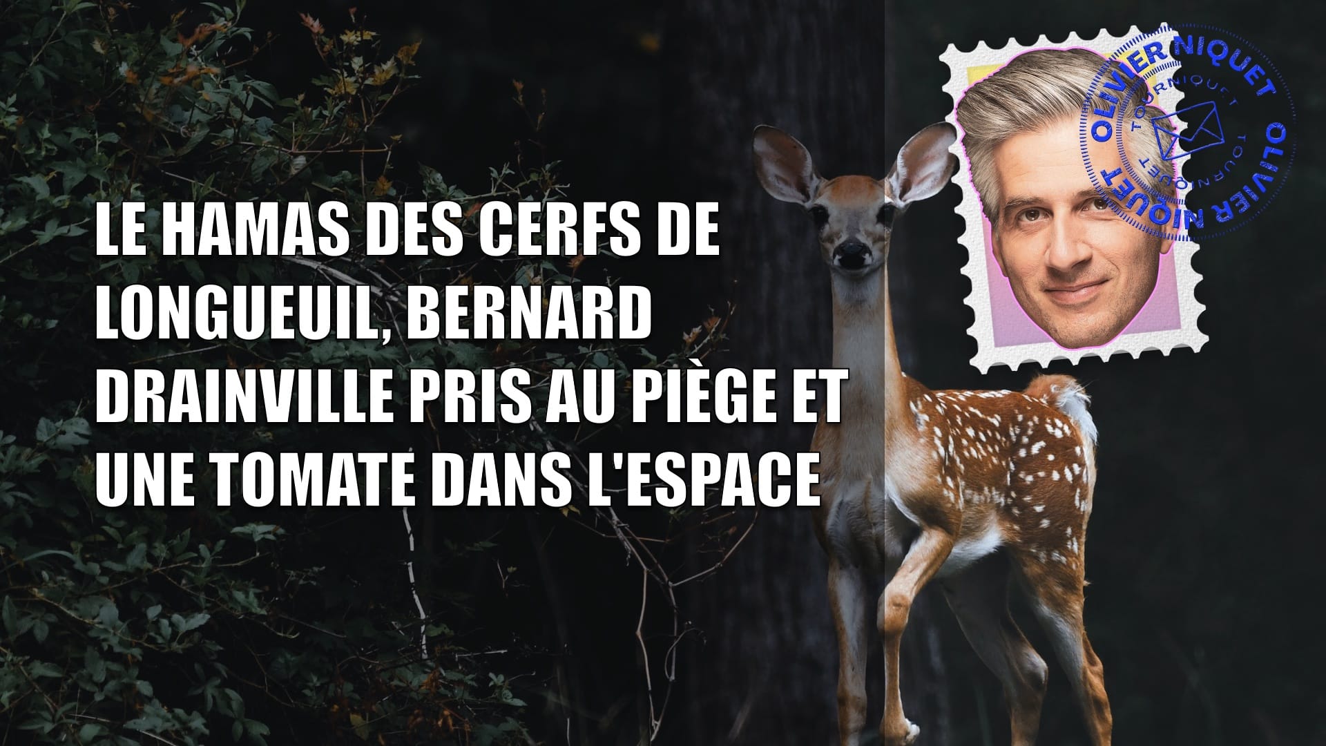 Le Hamas des cerfs de Longueuil, Bernard Drainville pris au piège et une tomate dans l'espace Post image