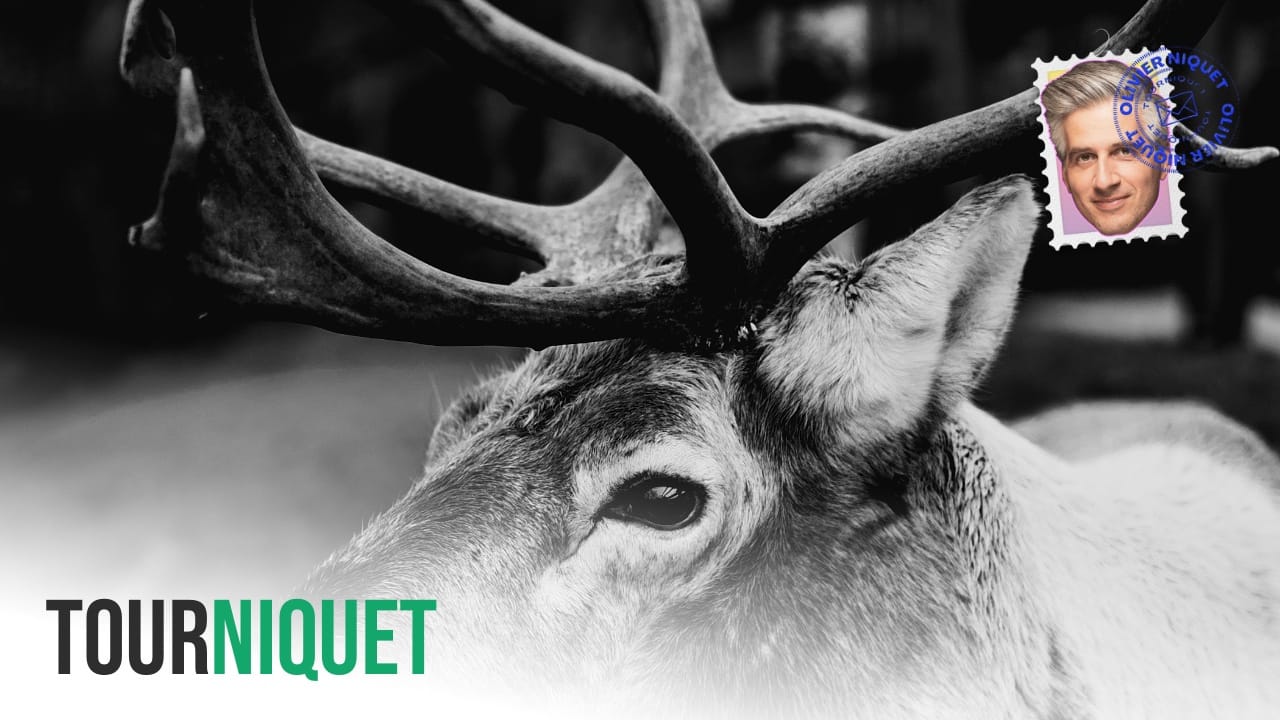 Caribous: c'est la faute des changements climatiques disent les experts liés à l'industrie forestière Post image