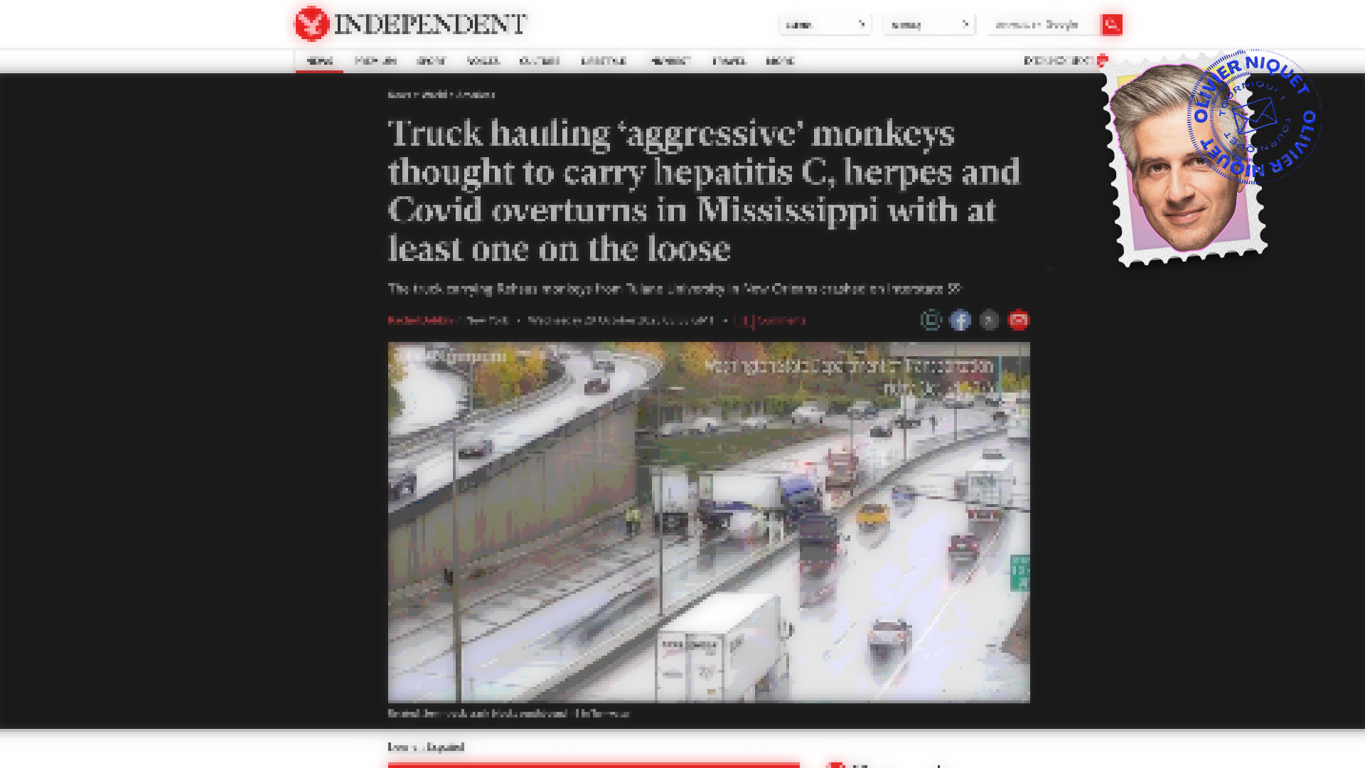 Des singes infectés par l’herpès et l’hépatite C en liberté Post image