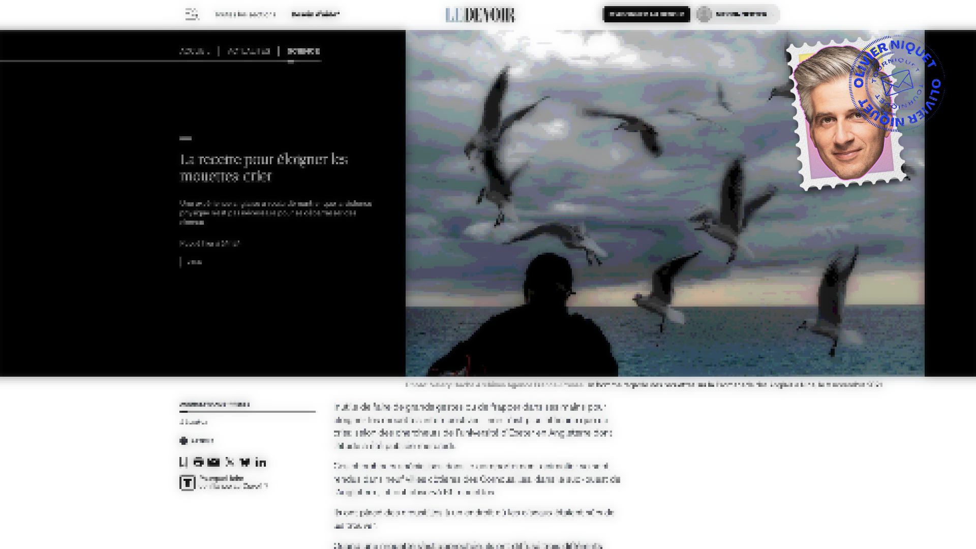 Pour éloigner les mouettes, vaut mieux crier Post feature image