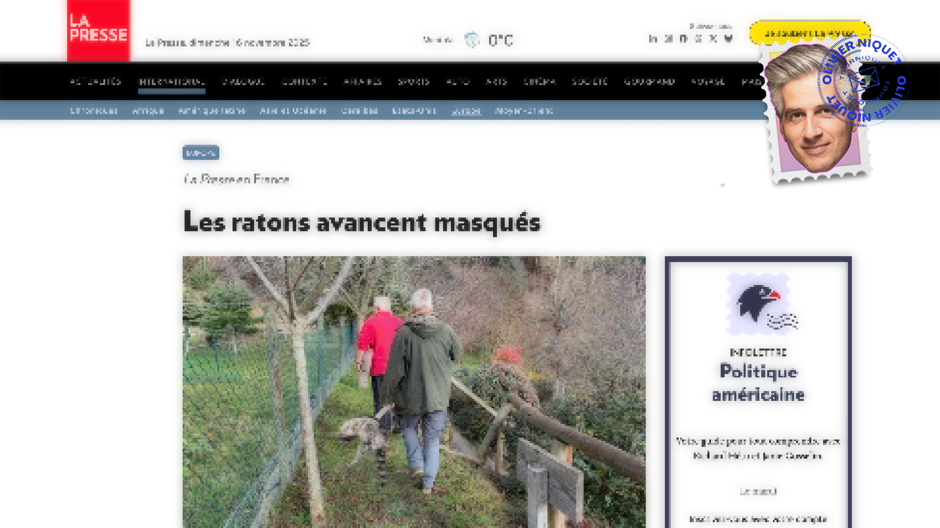 Les ratons laveurs envahissent la France, du coup Post image