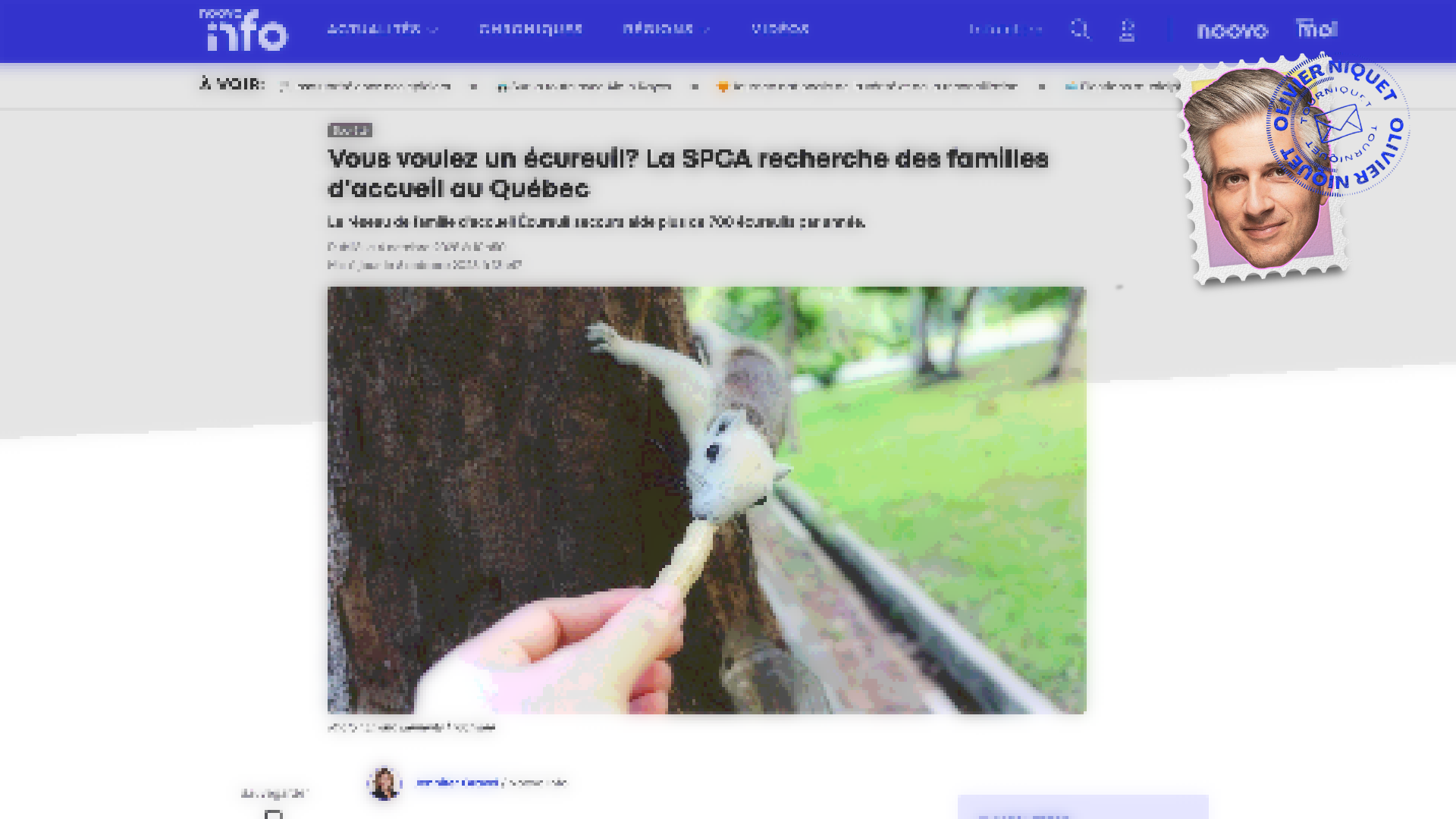 Comment adopter un écureuil Post feature image