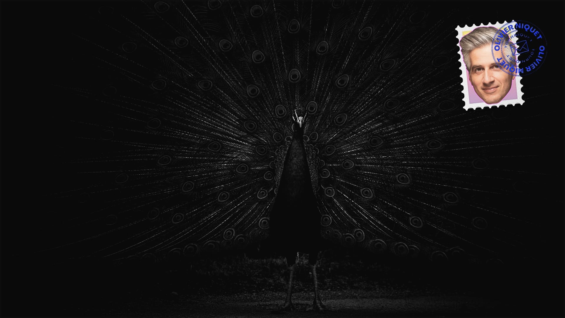 C’est moi qu’il vous faut Post feature image