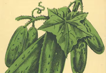 Des émotions, un décès et de l'homophobie Image principale