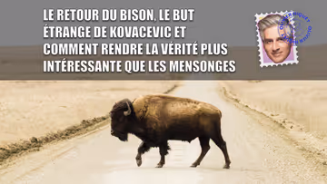Le retour du bison, le but étrange de Kovacevic et comment rendre la vérité plus intéressante que les mensonges Image principale