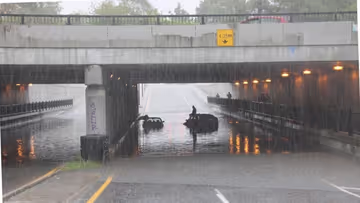 Un mot farfelu, le plan environnemental de la CAQ et les intellos Image principale