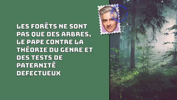 Les forêts ne sont pas que des arbres, le Pape contre la théorie du genre et des tests de paternité defectueux Image principale