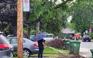 Une marmotte, Trump et le fascisme, et Chris Hadfield en pyjama avec Charles III Image principale