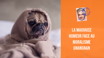 La mauvaise humeur face au moralisme gnangnan Image principale