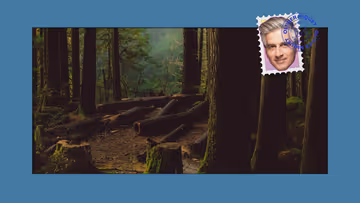 Une téléréalité de ménage, la forêt boréale en péril et les noms de chiens les plus populaires Image principale