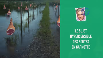 Le sujet hypersensible des routes en garnotte Image principale