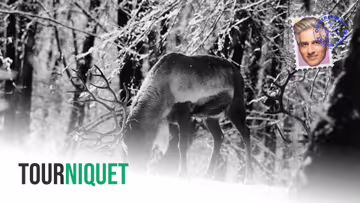 Qu’adviendra-t-il des caribous? Image principale