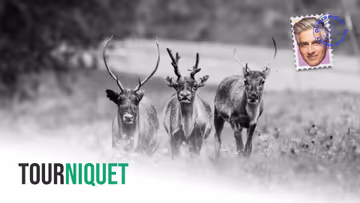 12 500$ d’amende pour avoir abattu l’un des derniers caribous Image principale