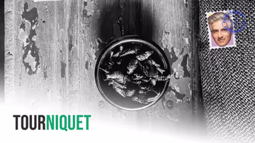 Les conservateurs recueillent des données personnelles grâce au combat contre les wokes qui aiment les insectes Image principale