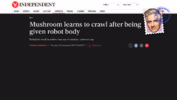 Un robot contrôlé par un champignon Image principale