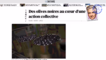Les olives noires sont-elles noires? Image principale