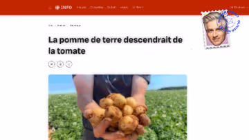 La pomme de terre est une tomate de terre Image principale