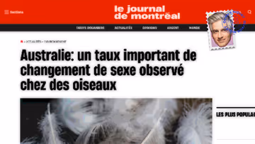 Les oiseaux changent de sexe à cause de la pollution: que feront les antiwokes climatosceptiques? Image principale