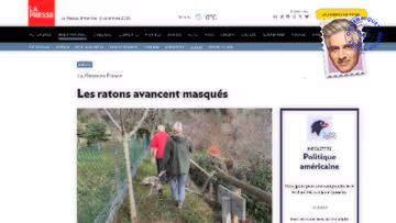 Les ratons laveurs envahissent la France, du coup Image principale