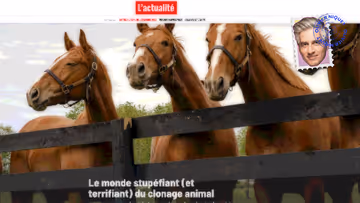 Clonage animal: à quand les humains? Image principale