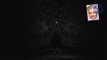 C’est moi qu’il vous faut Image principale